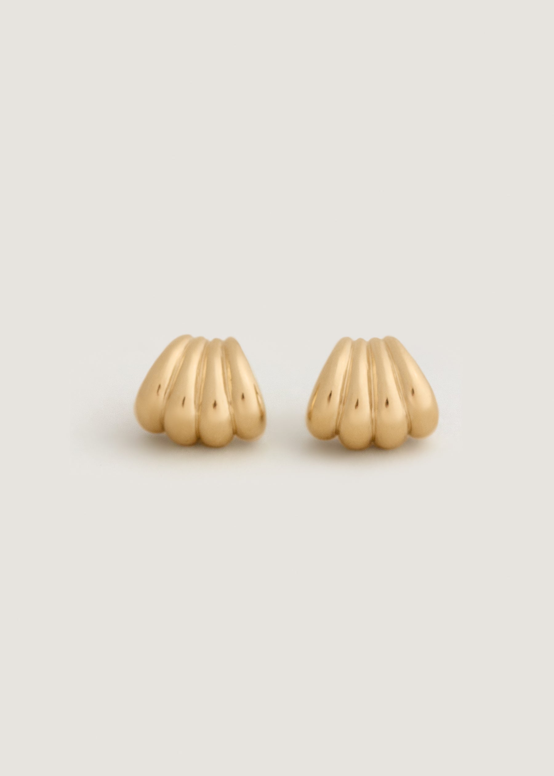 Kinn 14k Gold Gaia Scallop Earrings