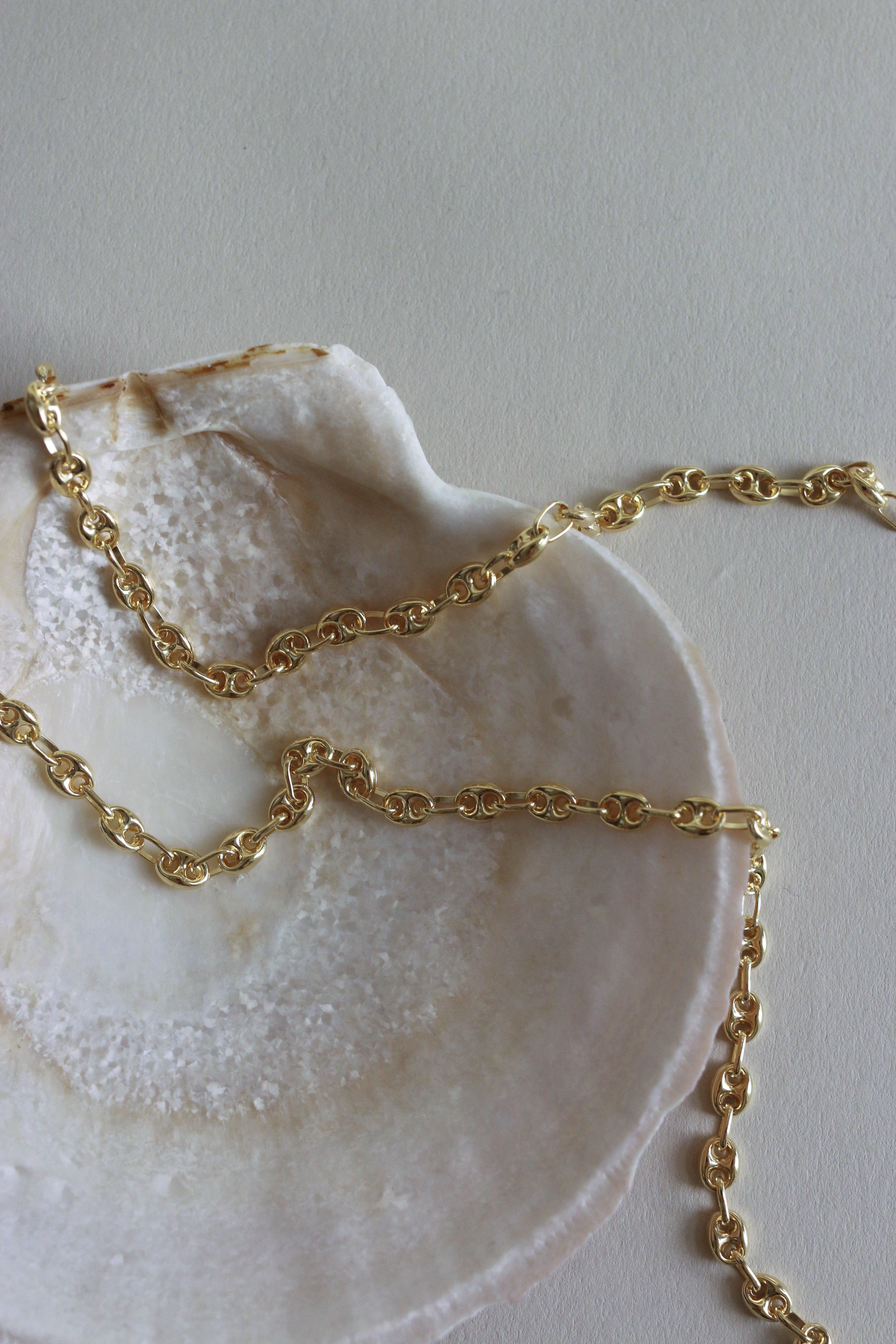 A Kinn 14k Gold Petite Puffed Mariner Chain Necklace laying across a shell tray